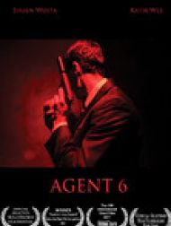 DVD Agent 6