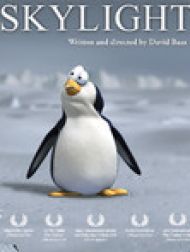 DVD Skylight