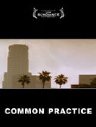DVD Common Practice