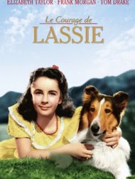 DVD Le Courage De Lassie