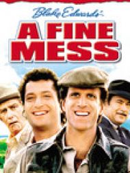 DVD A Fine Mess