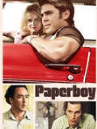 DVD Paperboy (VOST)