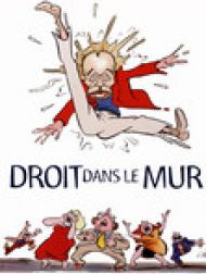 DVD Droit Dans Le Mur
