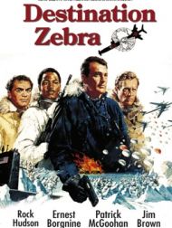 DVD Destination : Zebra, Station Polaire