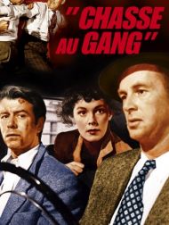 DVD Chasse Au Gang