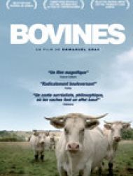 DVD Bovines Ou La Vraie Vie Des Vaches