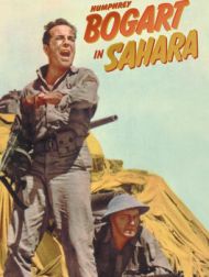 DVD Sahara