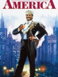DVD Un prince á New York (Coming to America)