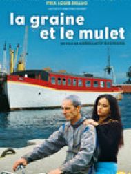DVD La Graine Et Le Mulet