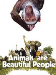 DVD Aventures Au Kalahari (Animals Are Beautiful People)