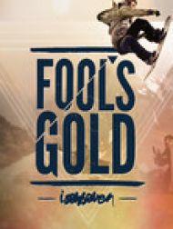 DVD Fool's Gold