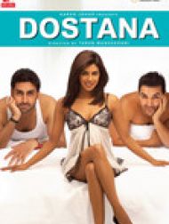 DVD Dostana