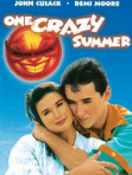 DVD One Crazy Summer