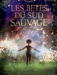 DVD Les Bêtes Du Sud Sauvage (VOST)