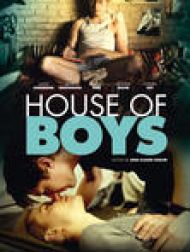 DVD House Of Boys