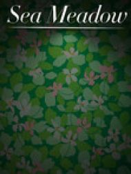 DVD Sea Meadow