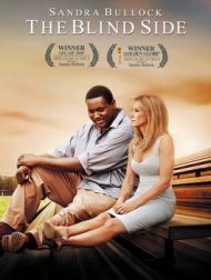 DVD The Blind Side