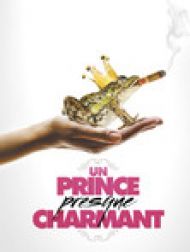 DVD Un prince presque charmant