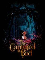 DVD The Captured Bird