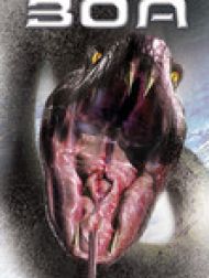 DVD Boa (2002)