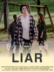 DVD Liar