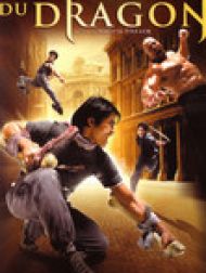 DVD L'honneur du dragon
