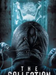 DVD The Collection (VOST)