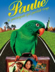 DVD Paulie: Le perroquet qui parlait trop