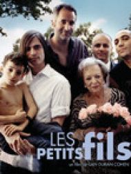 DVD Les petits fils