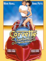 DVD Corvette Summer