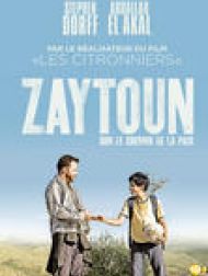 DVD Zaytoun