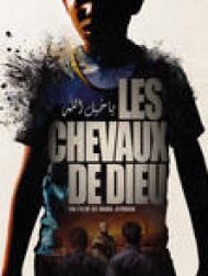 DVD Les Chevaux De Dieu