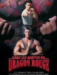 DVD Dans les griffes du dragon rouge