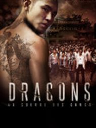 DVD Dragons (Báng-kah)