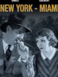 DVD New York - Miami