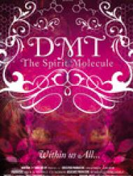 DVD DMT : La molécule de l'esprit (DMT: The Spirit Molecule)