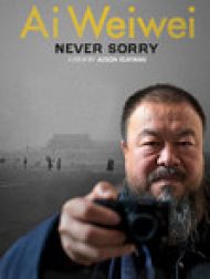 DVD Ai Weiwei: Never Sorry