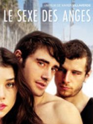 DVD Le Sexe Des Anges