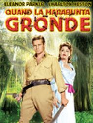DVD Quand La Marabunta Gronde