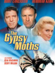 DVD Parachutistes arrivent (The Gypsy Moths)