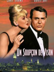 DVD Un Soupçon De Vison