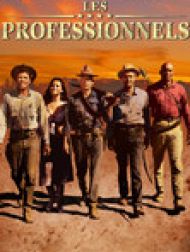 DVD Les Professionnels