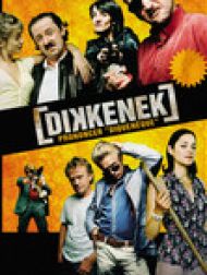 DVD Dikkenek