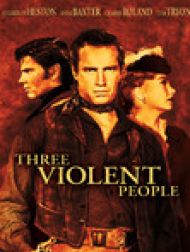 DVD Terre Sans Pardon