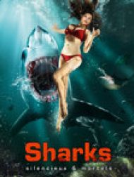 DVD Sharks Silencieux & Mortels