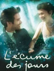 DVD L'écume Des Jours