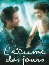 DVD L'écume des jours