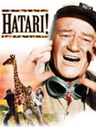 DVD Hatari!