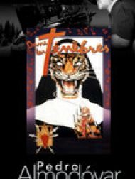 DVD Dans les ténèbres