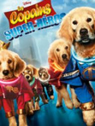 DVD Les Copains Super Héros